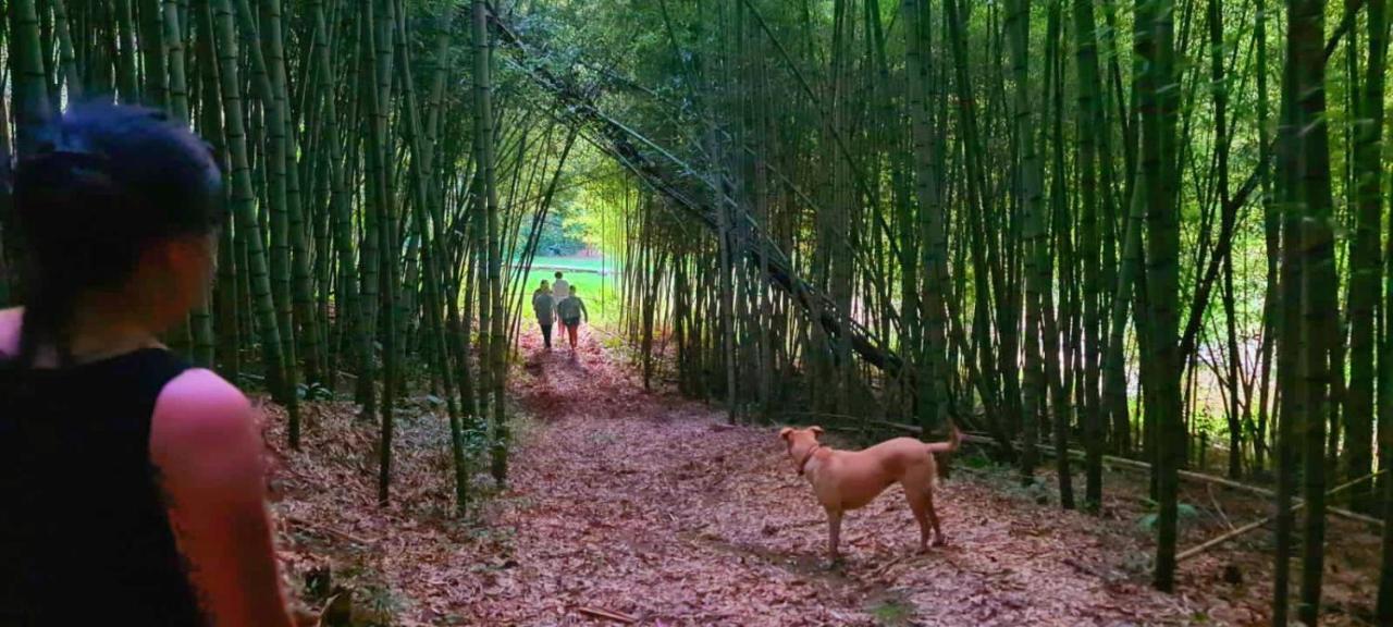 Pousada Green Valley เซาฮอเก ภายนอก รูปภาพ